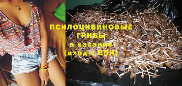 винт Каменка