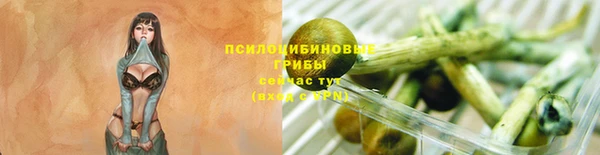 крисы Каменногорск