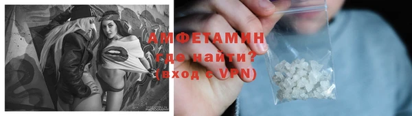 крисы Каменногорск