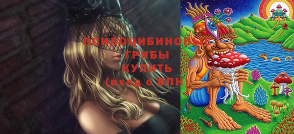 винт Каменка