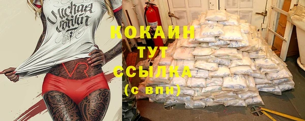 винт Каменка