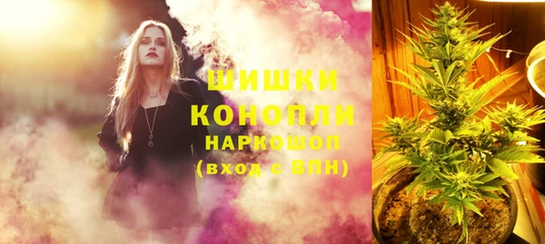 крисы Каменногорск