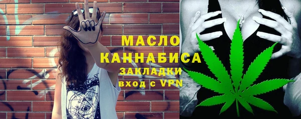 винт Каменка