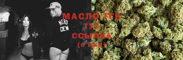 винт Каменка
