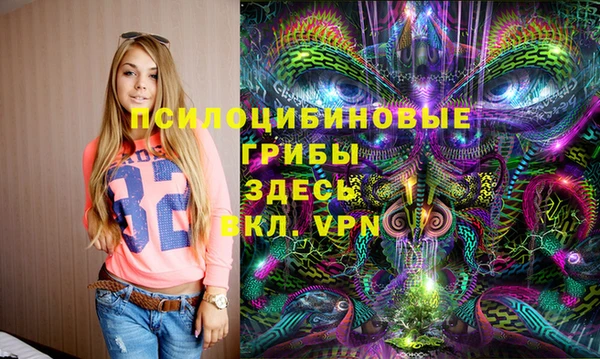 крисы Каменногорск