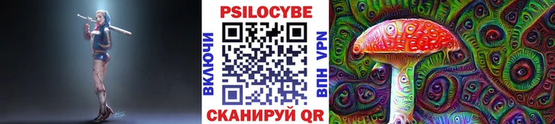 Купить  Лагань  Псилоцибиновые грибы мицелий 